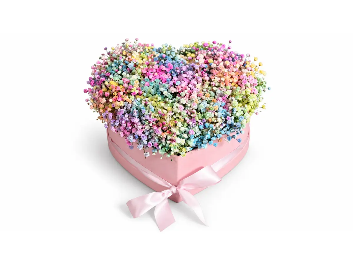 Rainbow Heart