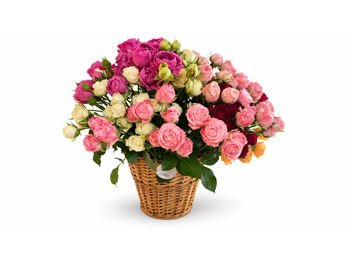 Rose Abundance