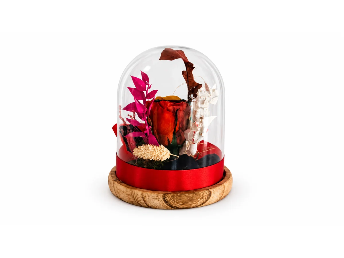 Prism Wish Dome — another view