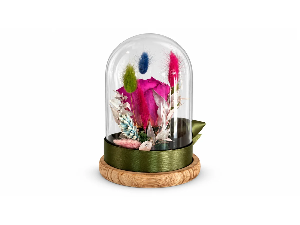 Orchid Glow Dome — άλλη όψη