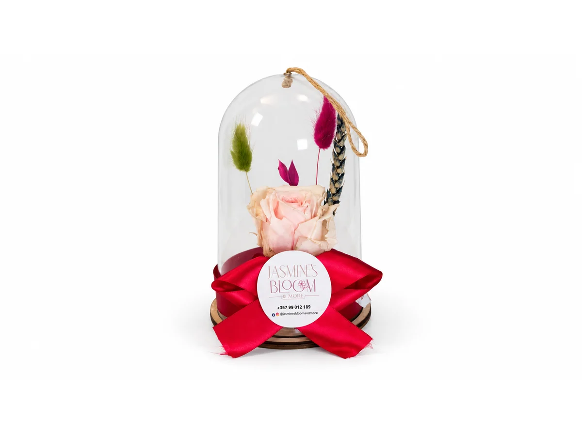 Petite Blush Dome